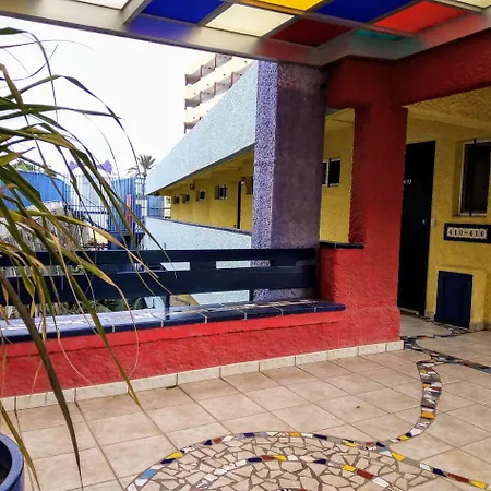 Bougainvillea Bamira *